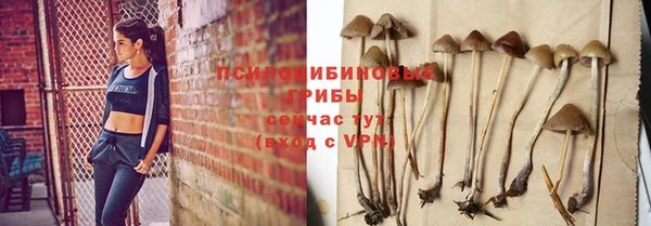 бутират Карпинск